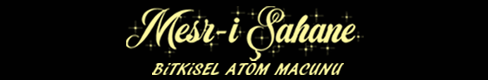 versace-logo